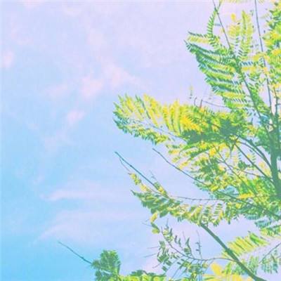 澳门·新甫京娱乐娱城app下载