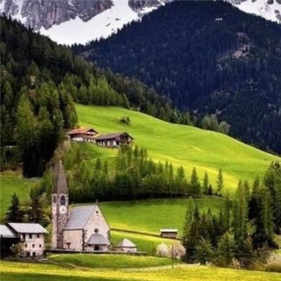 开元棋棋牌388ccvod官网版截图